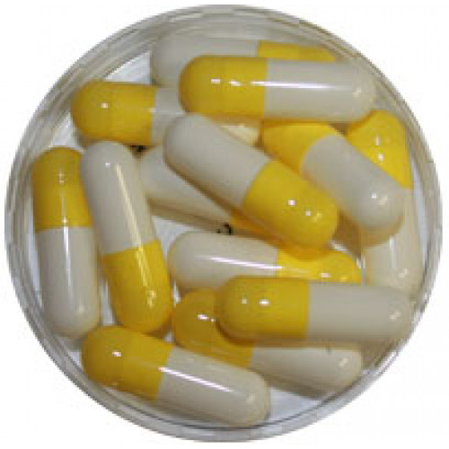 Premium Quality Yellow & Yellow Capsules 00 in Canada and USA